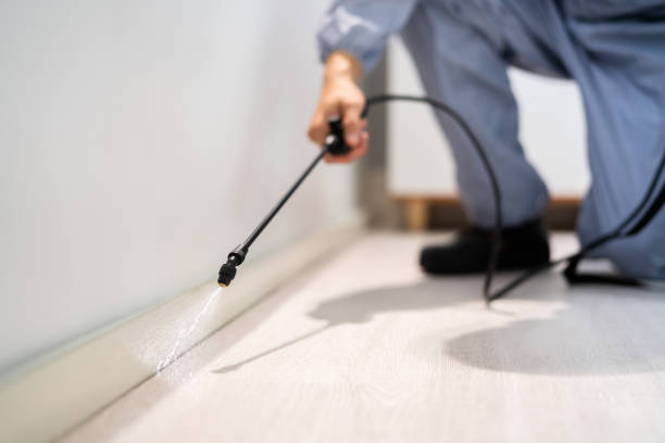 Rodent Entry Point Assessment in Fort Lewis