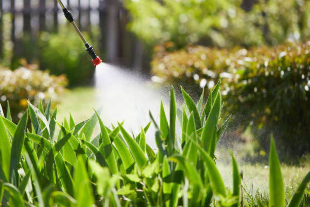 Tamper-Resistant Bait Stations for Rodents in Fort Lewis
