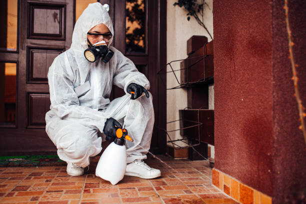 Attic and Crawl Space Rodent Treatment in Fort Lewis